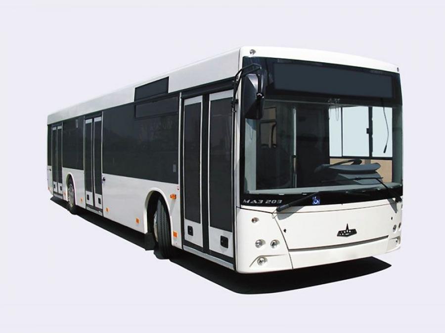  МАЗ-203 2006 года  (фото 2 из 10)